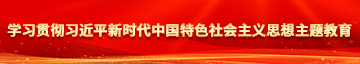 操操操操操操操操插插插抽抽学习贯彻习近平新时代中国特色社会主义思想主题教育